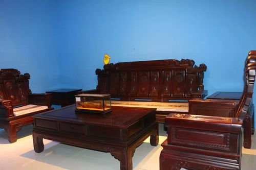 便宜到哭 从广东来了一批家具,濮阳人要抢疯啦